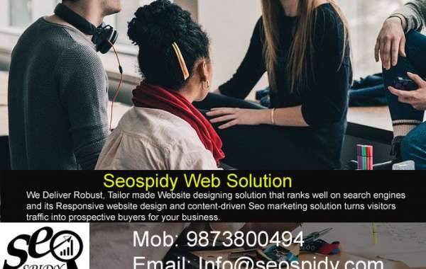 Seospidy introduce low cost website design package for local business