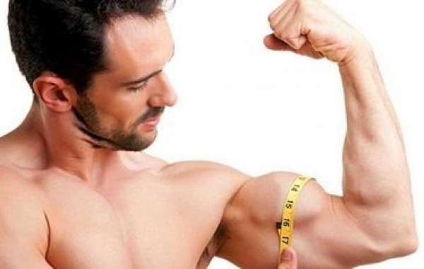 Precisely how to Build Muscle mass If You're Slim (Exercise Plan Included)