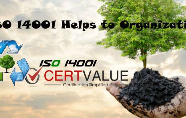 Steps in the ISO 14001 certification process in Iraq