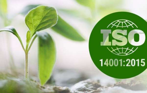 How can ISO 14001 help your company’s facilities management?