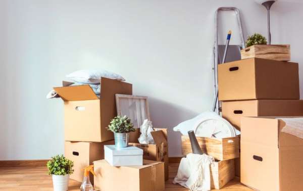 Best Packers and Movers in Jaipur: Comprehensive Moving Solutions