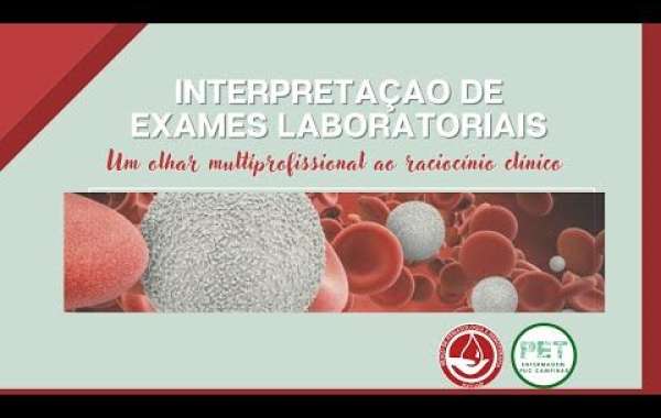 Explorando as Opções de Pós-Graduação em Medicina Veterinária: O Caminho para Especializações e Carreiras de Sucesso