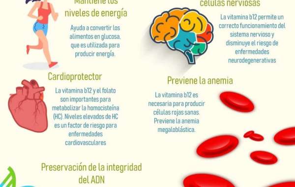 POLPER B12 FORTE Reconstituyente general Descripción, dosis, indicaciones y precio