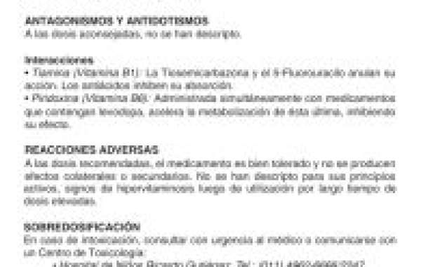 Romero seco vs fresco: ¿Cuál elegir para aprovechar al máximo sus beneficios? My blog