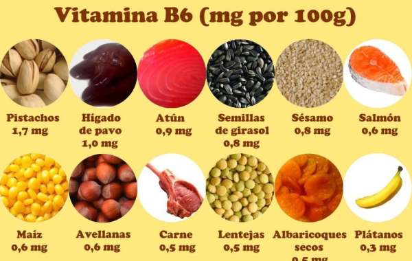 ¡Descubre los frutos secos ricos en vitamina B12 para una dieta saludable! Actualizado julio 2024