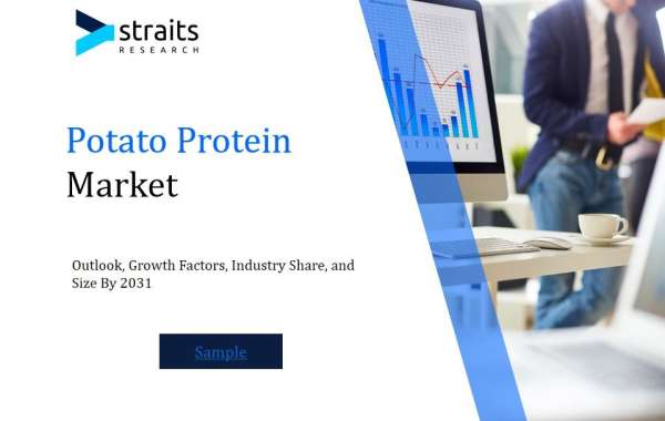 Potato Protein Market Analysis Report: Size, Share, and Trends Forecast for the Next Period