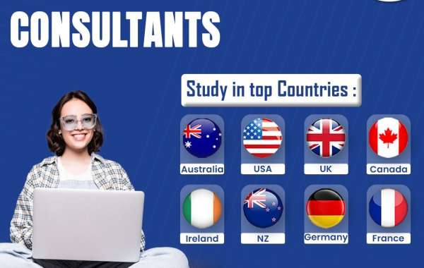 Best Study Abroad Consultants